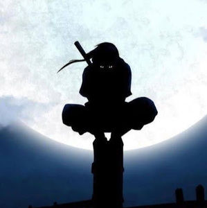 Meet your Posher, Henry